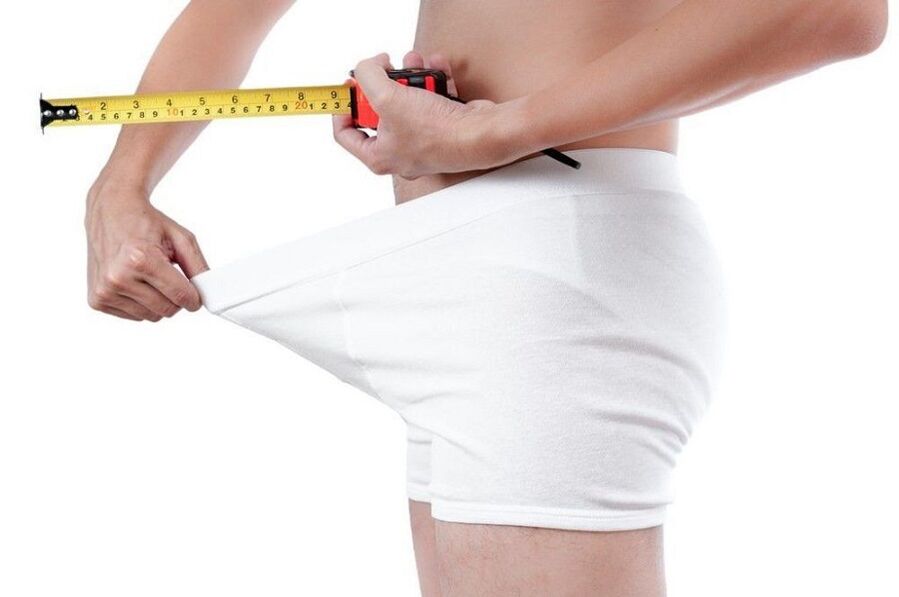 Измерение пениса перед упражнениями по увеличению